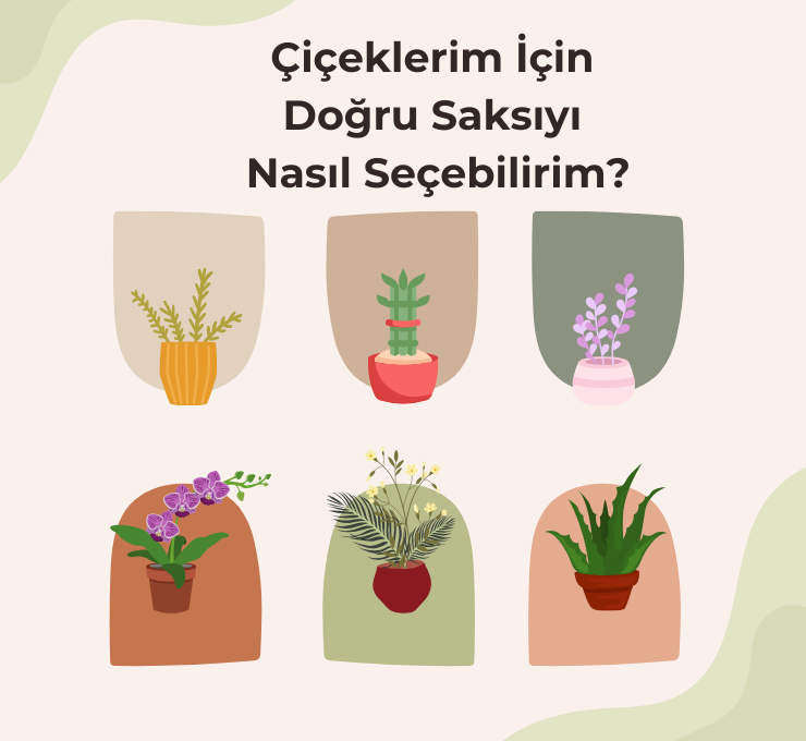 Çiçeklerim İçin Doğru Saksıyı Nasıl Seçebilirim?