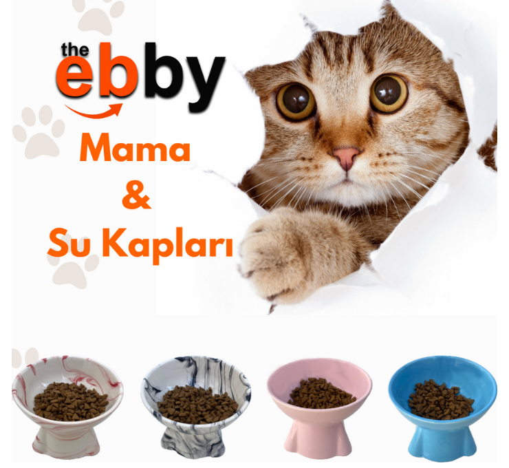 Neden seramik mama & su kabı tercih etmeliyiz?