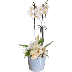 Theebby 12 Cm Cylinder Seramik Saksı Gri 