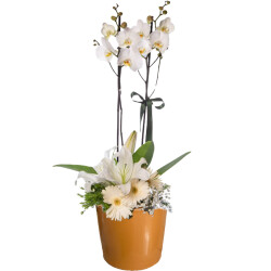 Theebby 12 Cm Cylinder Seramik Saksı Kiremit 