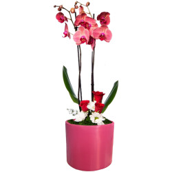 Theebby 15 Cm Cylinder Seramik Saksı Mürdüm 