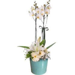 Theebby 15 Cm Cylinder Seramik Saksı Yeşil - Theebby