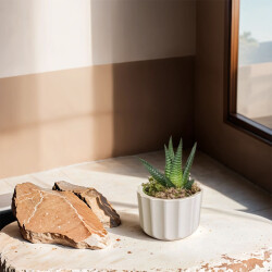 Theebby A.T-3L Seramik Saksı Beyaz - 2