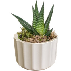 Theebby A.T-3L Seramik Saksı Beyaz 