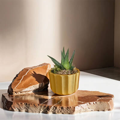 Theebby A.T-3L Seramik Saksı Gold - 2