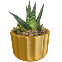 Theebby A.T-3L Seramik Saksı Gold 