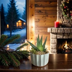 Theebby A.T-3L Seramik Saksı Haki - 2