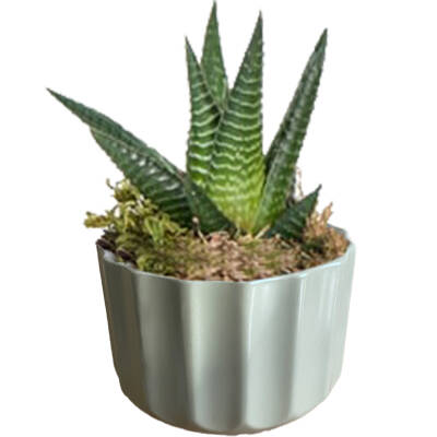 Theebby A.T-3L Seramik Saksı Haki - 1