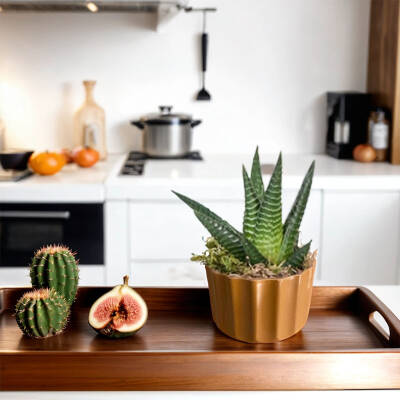 Theebby A.T-3L Seramik Saksı Kiremit - 2