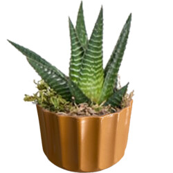 Theebby A.T-3L Seramik Saksı Kiremit 