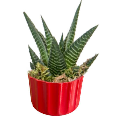 Theebby A.T-3L Seramik Saksı Kırmızı - 1