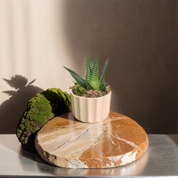 Theebby A.T-3L Seramik Saksı Krem - 2