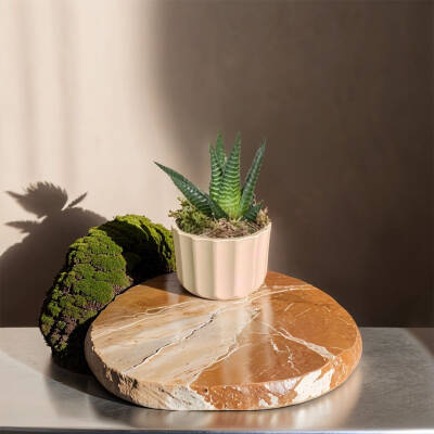 Theebby A.T-3L Seramik Saksı Krem - 2