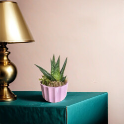 Theebby A.T-3L Seramik Saksı Pembe - 2