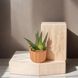 Theebby A.T-3L Seramik Saksı Terracota - 2
