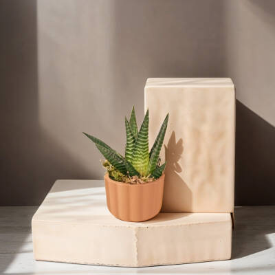 Theebby A.T-3L Seramik Saksı Terracota - 2