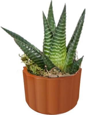 Theebby A.T-3L Seramik Saksı Terracota - 1