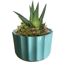 Theebby A.T-3L Seramik Saksı Yeşil 