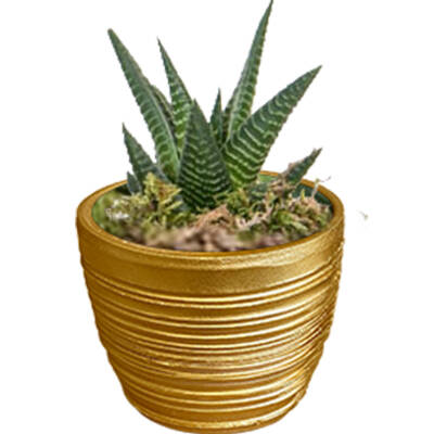 Theebby Cup Seramik Saksı Gold - 1