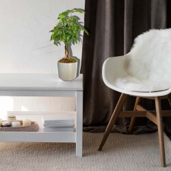 Theebby Germany Seramik Saksı Haki - 4