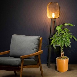 Theebby Germany Seramik Saksı Kiremit - 4