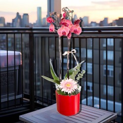 Theebby Germany Seramik Saksı Kırmızı - 4