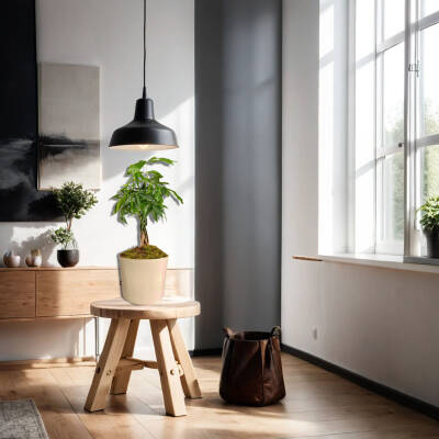 Theebby Germany Seramik Saksı Krem - 4