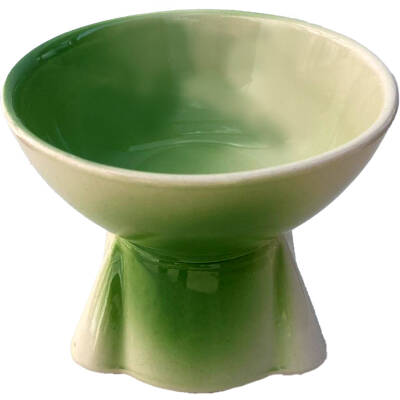 Theebby Ayaklı Seramik Evcil Hayvan Mama / Su Kabı Beyaz-Yeşil - 5