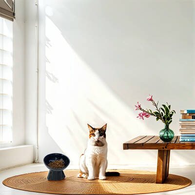 Theebby Ayaklı Seramik Evcil Hayvan Mama / Su Kabı Siyah - 2