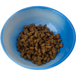 Theebby Ayaklı Seramik Evcil Hayvan Mama / Su Kabı Mavi-Beyaz - 3