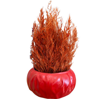 Theebby Siyah Eskitme Seramik Saksı Kırmızı - 1