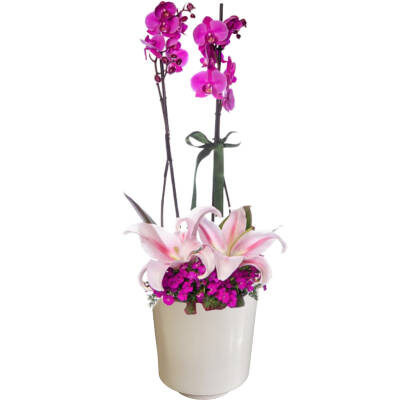 Theebby VSM0010 Seramik Saksı Beyaz - 1