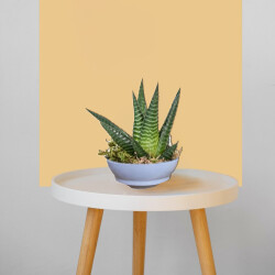 Theebby VSM0024 Seramik Saksı Gri - 4