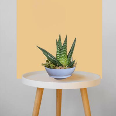 Theebby VSM0024 Seramik Saksı Gri - 4