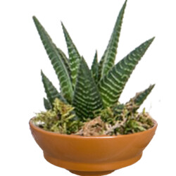 Theebby VSM0024 Seramik Saksı Kiremit 