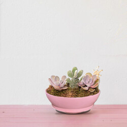 Theebby VSM0024 Seramik Saksı Pembe - 4