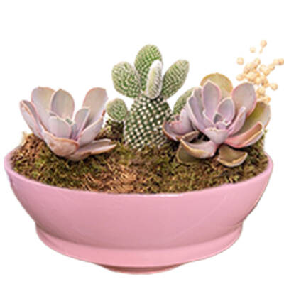 Theebby VSM0024 Seramik Saksı Pembe - 1