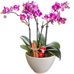 Theebby VSM0026 Seramik Saksı Beyaz 