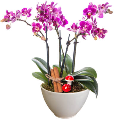 Theebby VSM0026 Seramik Saksı Beyaz - 1