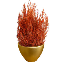 Theebby VSM0026 Seramik Saksı Gold - Theebby