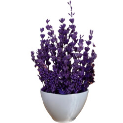 Theebby VSM0026 Seramik Saksı Gri 