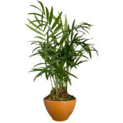 Theebby VSM0026 Seramik Saksı Kiremit 