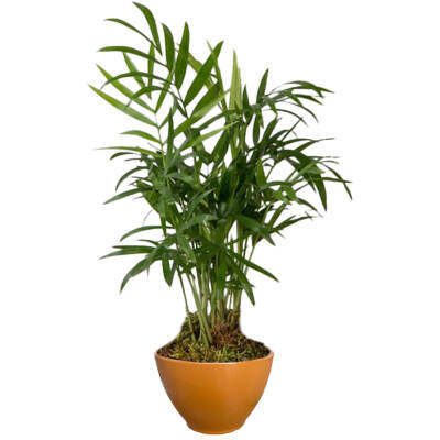 Theebby VSM0026 Seramik Saksı Kiremit - 1