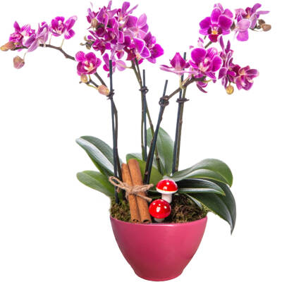 Theebby VSM0026 Seramik Saksı Mürdüm - 1