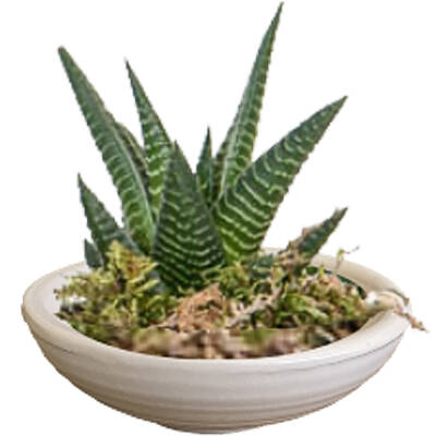 Theebby VSM0033 Seramik Saksı Beyaz - 1