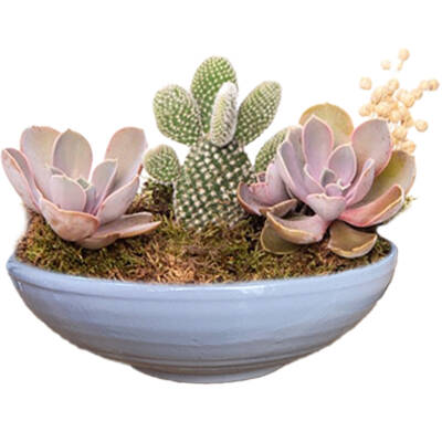 Theebby VSM0033 Seramik Saksı Gri - 1