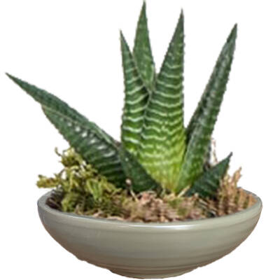 Theebby VSM0033 Seramik Saksı Haki - 1