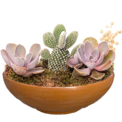 Theebby VSM0033 Seramik Saksı Kiremit 