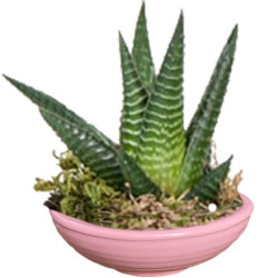 Theebby VSM0033 Seramik Saksı Pembe 
