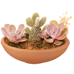 Theebby VSM0033 Seramik Saksı Terracota 